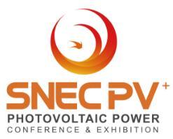 SNEC 18th (2025) International Photovoltaic Power Generation and Smart Energy Conference & Exhibition (Shanghai)