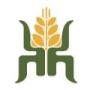 2025 5th China (Zhengzhou) Quality Grain and Oil Products and Machinery Equipment Trade Conference