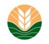2025 21st China International Grain and Oil Products and Equipment Technology Exhibition